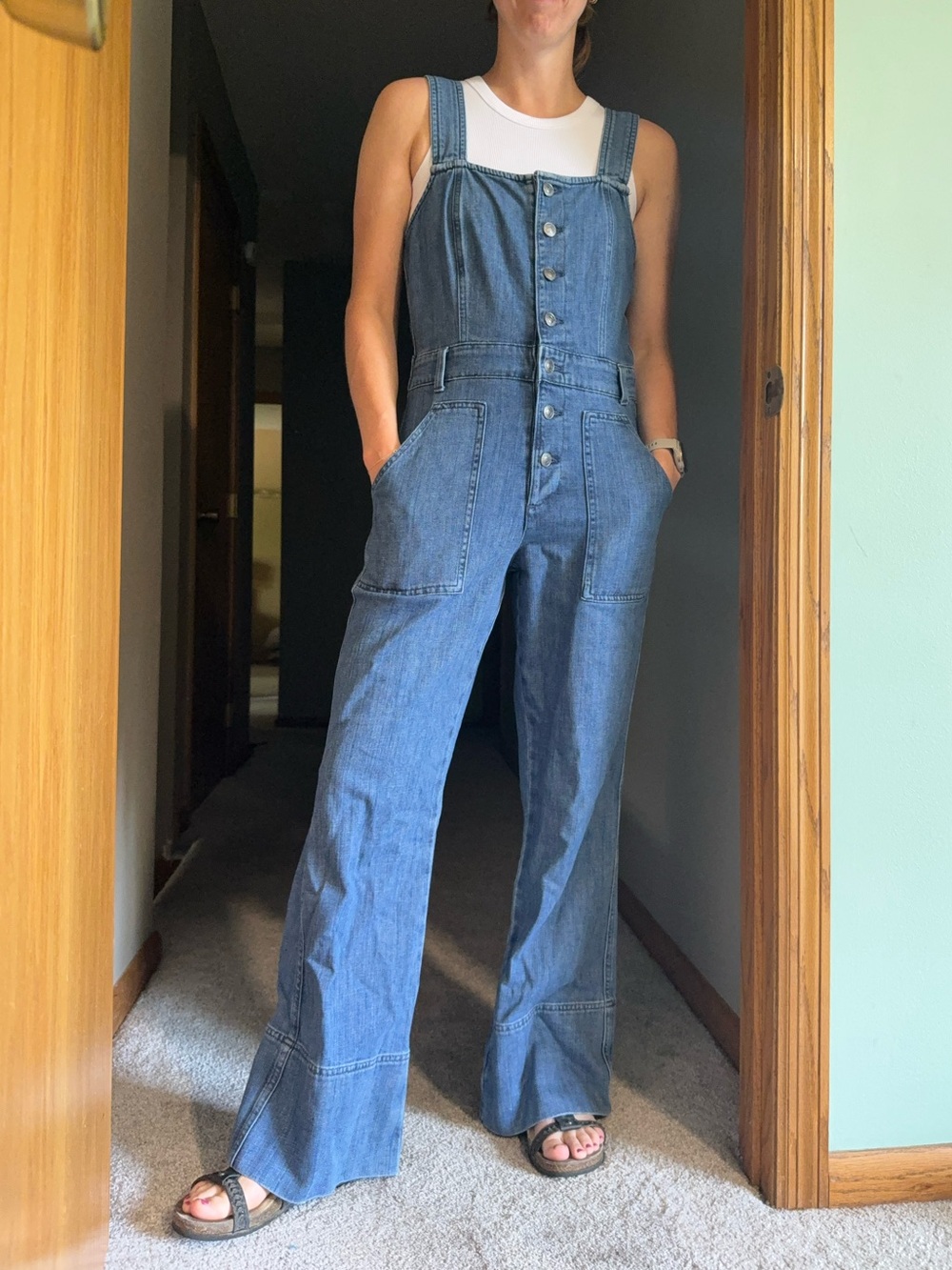 Aerie denim overalls